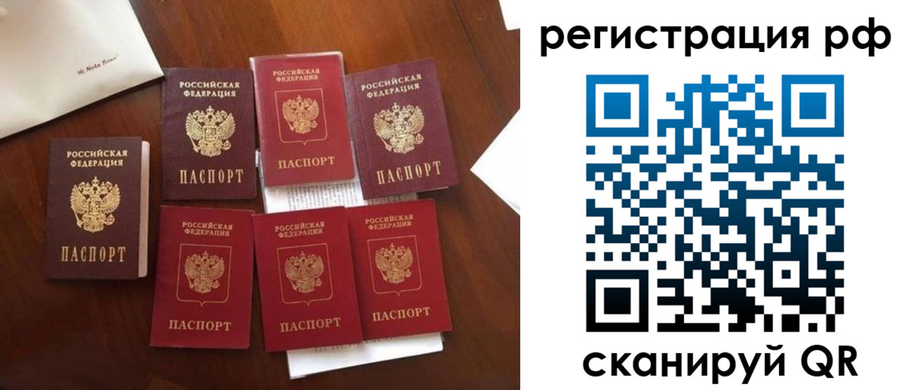 пропишу в квартире в Ельне